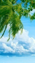 Sea, Clouds, Palms, Landscape per Samsung Galaxy Note 5