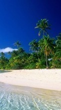 Scaricare immagine Sea, Clouds, Palms, Landscape, Sand, Beach sul telefono gratis.