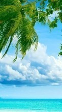 Scaricare immagine Sea, Clouds, Palms, Landscape, Beach sul telefono gratis.