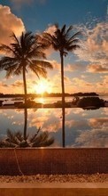 Scaricare immagine Sea, Clouds, Palms, Landscape, Sunset sul telefono gratis.