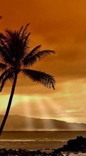 Scaricare immagine Sea, Clouds, Palms, Landscape, Sunset sul telefono gratis.