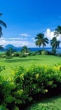 Scaricare immagine Sea, Palms, Landscape sul telefono gratis.