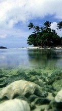 Scaricare immagine Sea, Palms, Landscape sul telefono gratis.