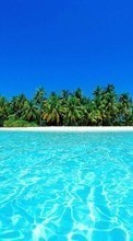 Sea,Palms,Landscape per Motorola BACKFLIP