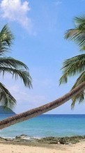 Scaricare immagine 1024x600 Landscape, Sea, Palms sul telefono gratis.