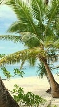 Scaricare immagine Sea, Palms, Landscape, Sand, Beach sul telefono gratis.
