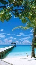 Scaricare immagine Sea, Palms, Landscape, Sand, Beach sul telefono gratis.