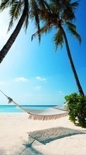 Scaricare immagine Sea, Palms, Landscape, Beach sul telefono gratis.