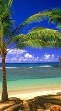 Sea, Palms, Landscape, Beach per Samsung Galaxy Note 2