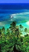 Scaricare immagine Sea,Palms,Landscape,Beach sul telefono gratis.