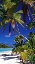 Scaricare immagine Landscape, Sea, Beach, Palms sul telefono gratis.