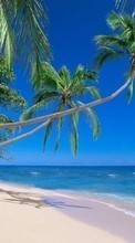 Scaricare immagine 320x480 Landscape, Sea, Beach, Palms sul telefono gratis.