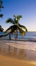 Scaricare immagine Landscape, Water, Sunset, Sea, Sun, Beach, Palms sul telefono gratis.
