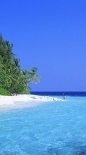 Scaricare immagine Landscape, Water, Sea, Beach, Palms sul telefono gratis.