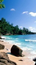 Scaricare immagine 800x480 Landscape, Water, Sea, Beach, Palms sul telefono gratis.