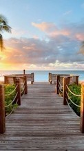 Scaricare immagine Sea, Palms, Landscape, Beach, Sunset sul telefono gratis.
