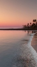 Scaricare immagine Sea, Palms, Landscape, Beach, Sunset sul telefono gratis.