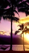 Scaricare immagine Sea,Palms,Landscape,Nature,Sunset sul telefono gratis.
