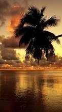 Scaricare immagine Sea, Palms, Landscape, Sunset sul telefono gratis.