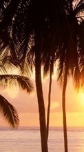 Scaricare immagine Sea,Palms,Landscape,Sunset sul telefono gratis.