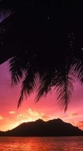 Scaricare immagine 320x240 Landscape, Sunset, Sea, Palms sul telefono gratis.