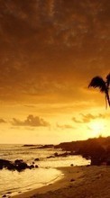 Scaricare immagine Landscape, Sunset, Sea, Palms sul telefono gratis.