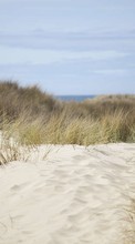 Scaricare immagine Sea, Landscape, Sand, Grass sul telefono gratis.