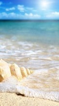 Sea, Landscape, Beach, Shells per OnePlus 8T