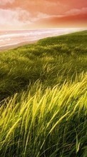 Scaricare immagine Sea,Landscape,Grass sul telefono gratis.
