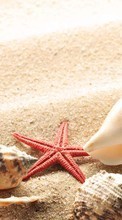 Scaricare immagine Starfish, Objects, Sand, Shells sul telefono gratis.