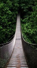 Scaricare immagine Bridges, Landscape sul telefono gratis.