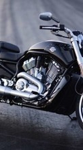 Scaricare immagine Motorcycles,Transport sul telefono gratis.