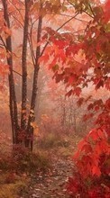 Scaricare immagine Landscape, Insects, Autumn sul telefono gratis.