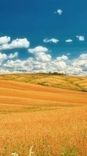 Scaricare immagine Sky, Clouds, Landscape, Fields sul telefono gratis.