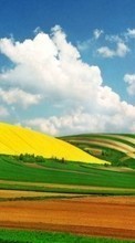Scaricare immagine 1280x800 Landscape, Nature, Fields, Sky, Clouds sul telefono gratis.