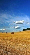 Scaricare immagine 128x160 Landscape, Nature, Fields, Sky, Clouds sul telefono gratis.