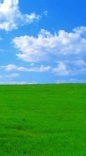 Scaricare immagine 480x800 Landscape, Grass, Sky, Clouds sul telefono gratis.