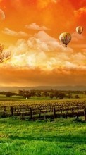 Scaricare immagine Sky, Clouds, Landscape, Grass, Grapes, Balloons, Sunset sul telefono gratis.