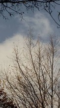 Scaricare immagine Sky,Landscape sul telefono gratis.