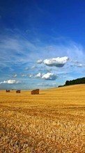 Sky,Landscape,Fields per Sony Xperia E