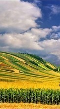 Landscape, Fields, Sky per HTC Smart