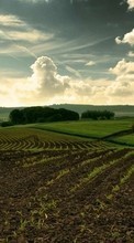 Scaricare immagine Sky, Landscape, Fields, Nature, Grass sul telefono gratis.