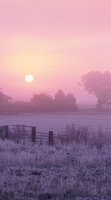 Scaricare immagine 240x400 Landscape, Grass, Sky, Dawn sul telefono gratis.