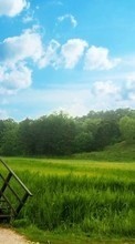Plants, Landscape, Grass, Sky per HTC Explorer