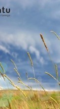 Scaricare immagine Plants, Landscape, Grass, Sky sul telefono gratis.