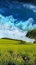Scaricare immagine Landscape, Sky, Sun sul telefono gratis.