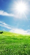 Scaricare immagine Landscape, Grass, Sky, Sun sul telefono gratis.