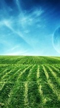 Scaricare immagine 1080x1920 Landscape, Grass, Sky sul telefono gratis.