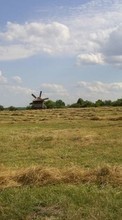 Scaricare immagine 240x400 Landscape, Grass, Sky sul telefono gratis.