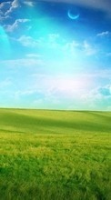 Scaricare immagine 320x480 Landscape, Grass, Sky sul telefono gratis.